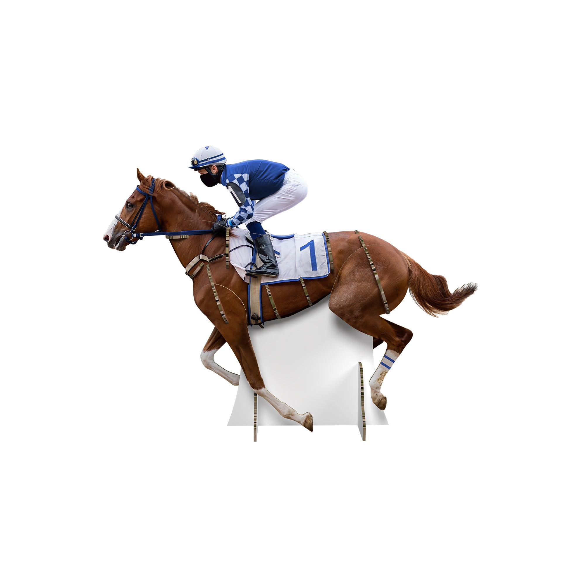 Kentuky Derby Horse