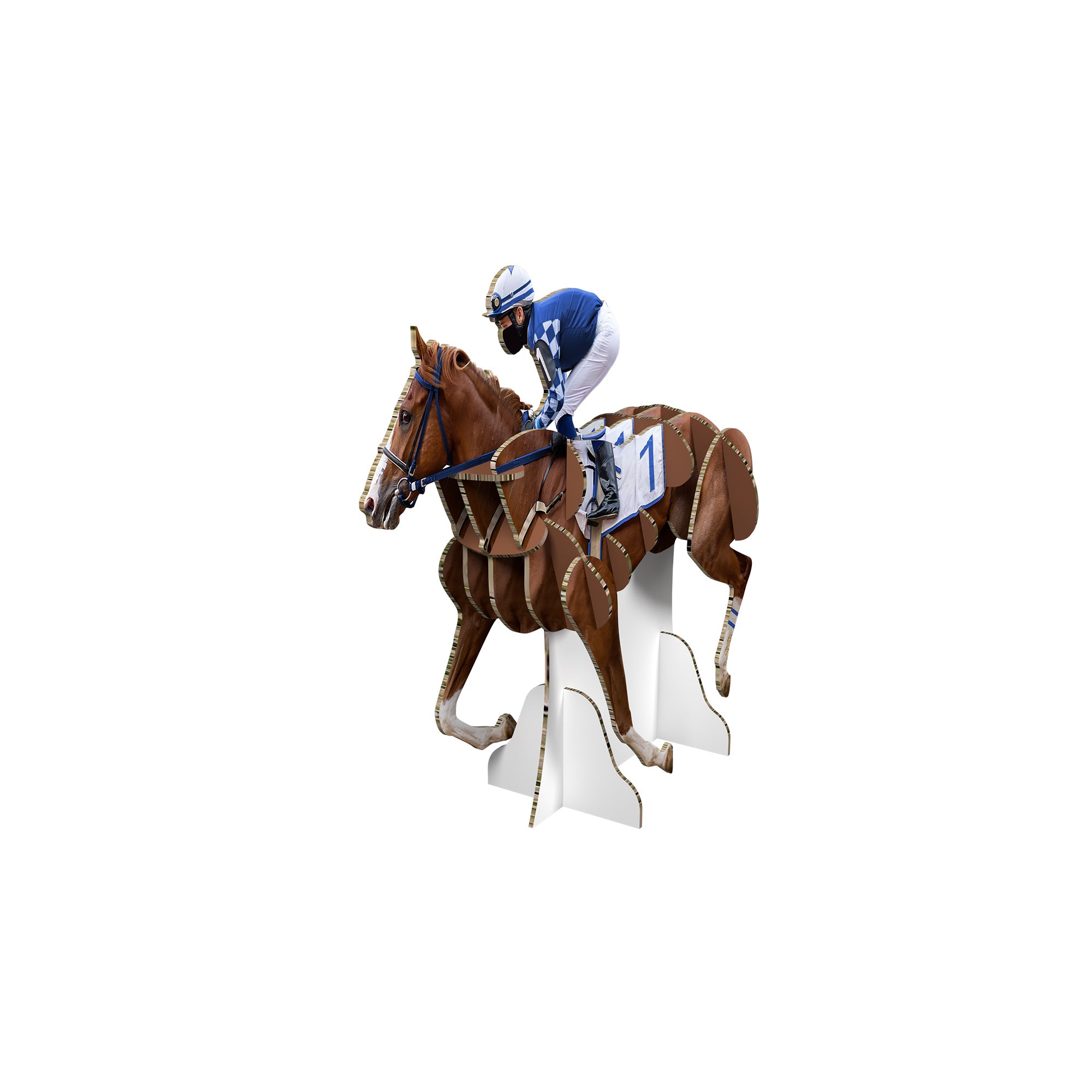 Kentuky Derby Horse