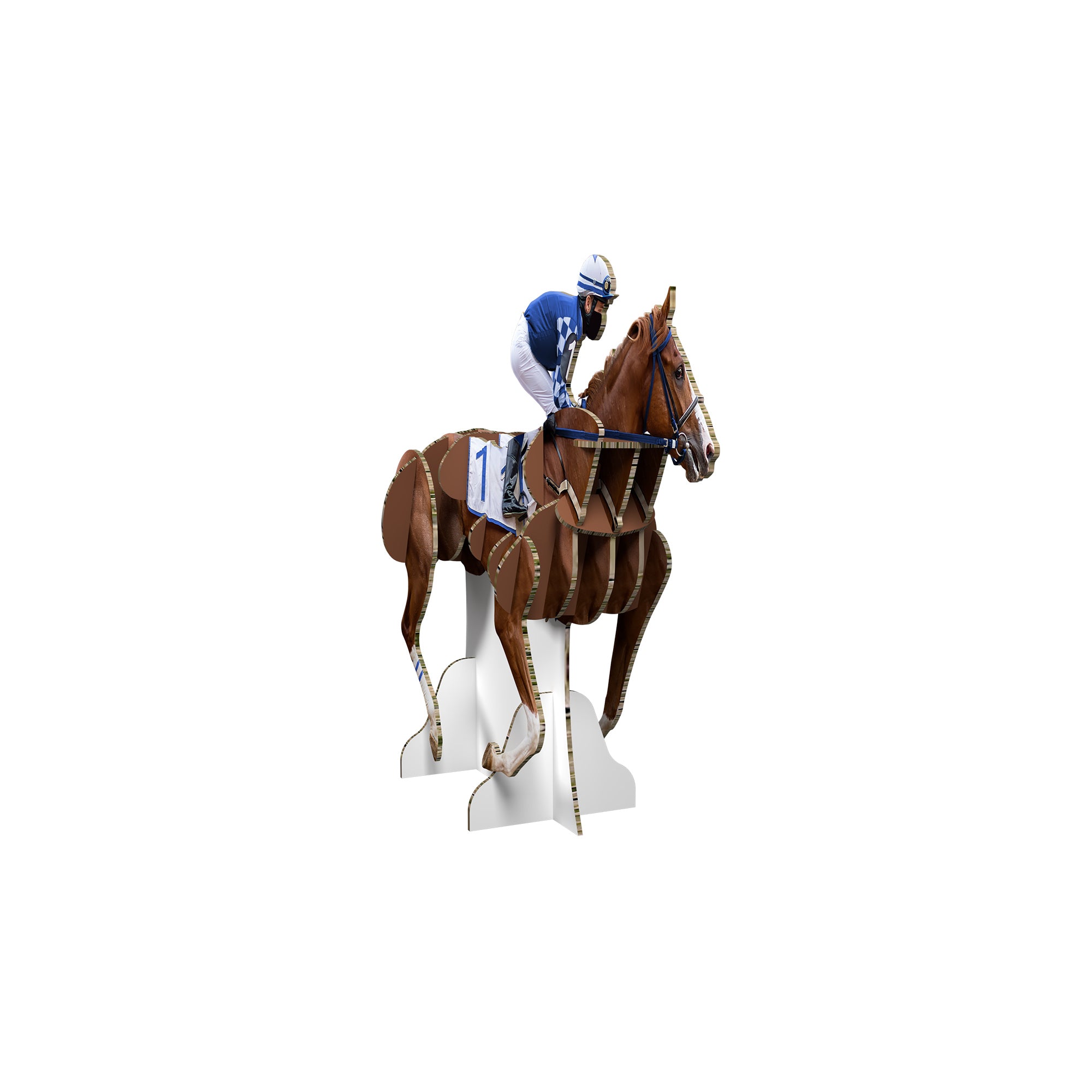 Kentuky Derby Horse