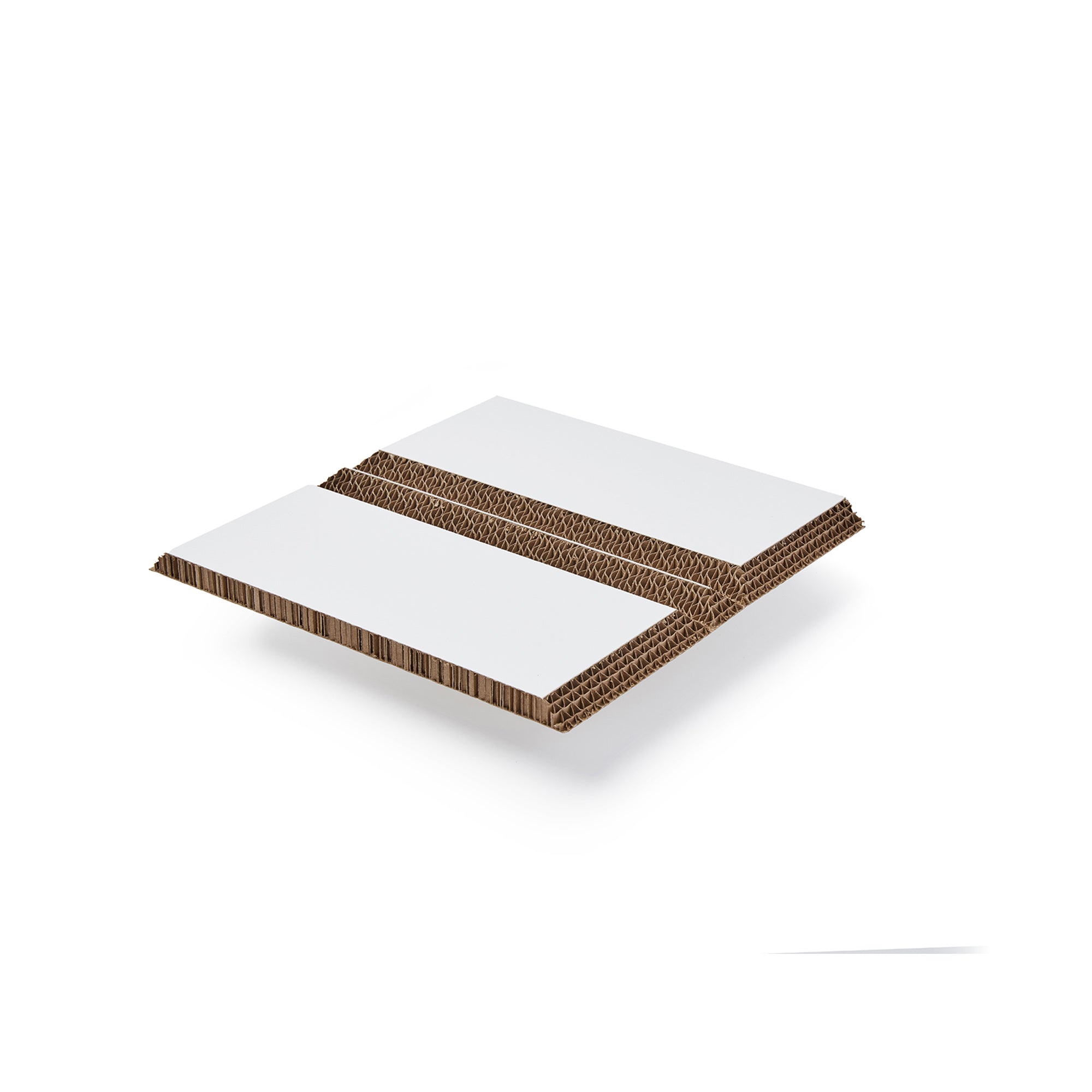 Xanita Board Print