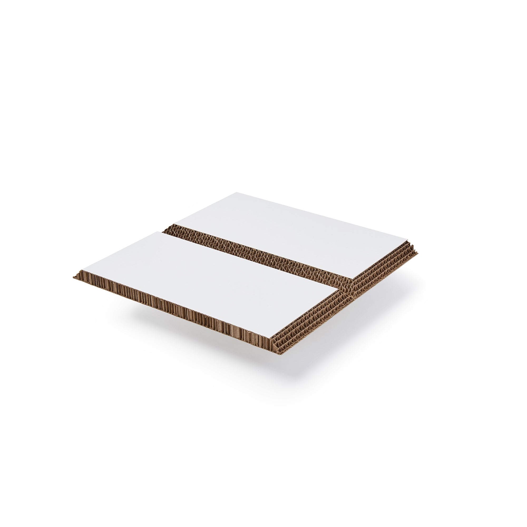Xanita Board Print