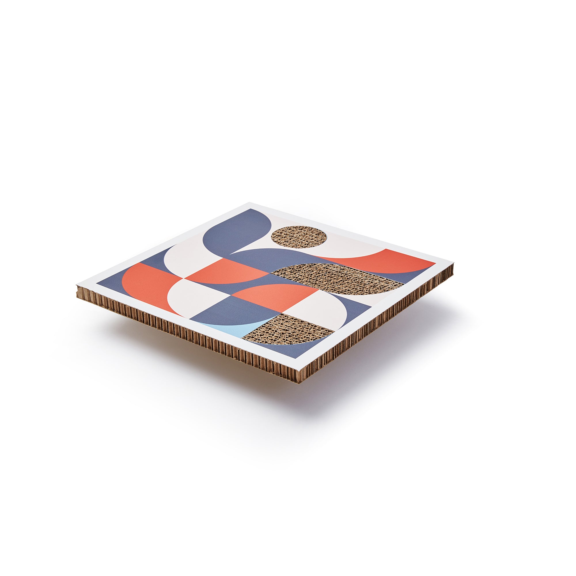 Xanita Board Print