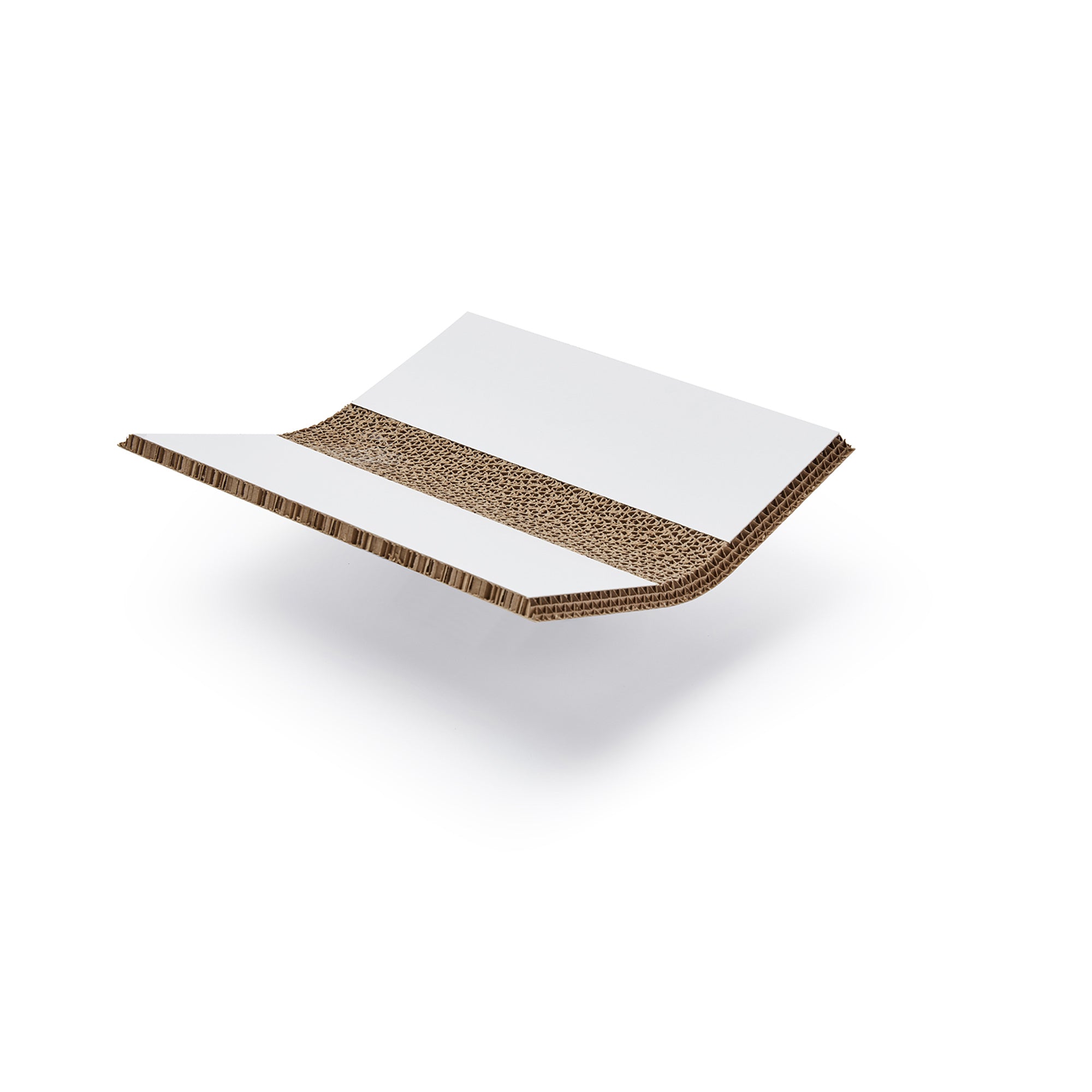 Xanita Board Print