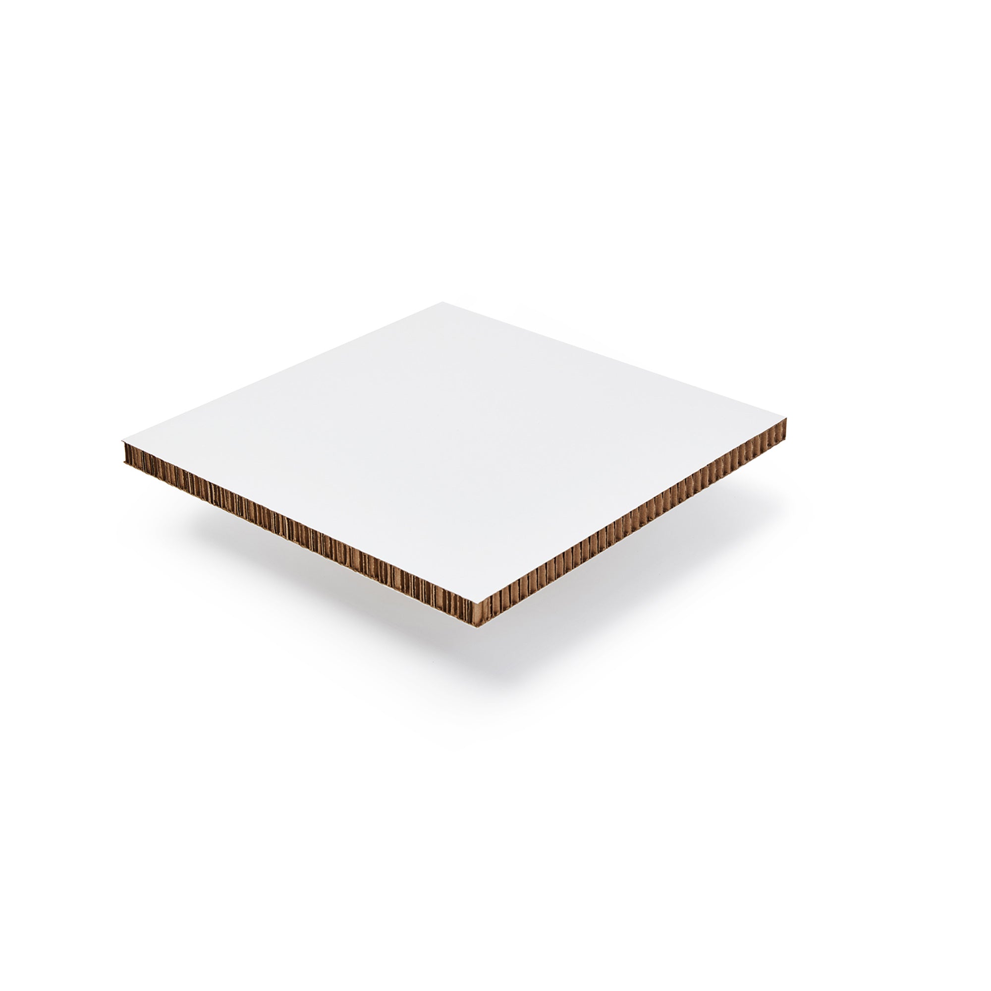 Xanita Board Print