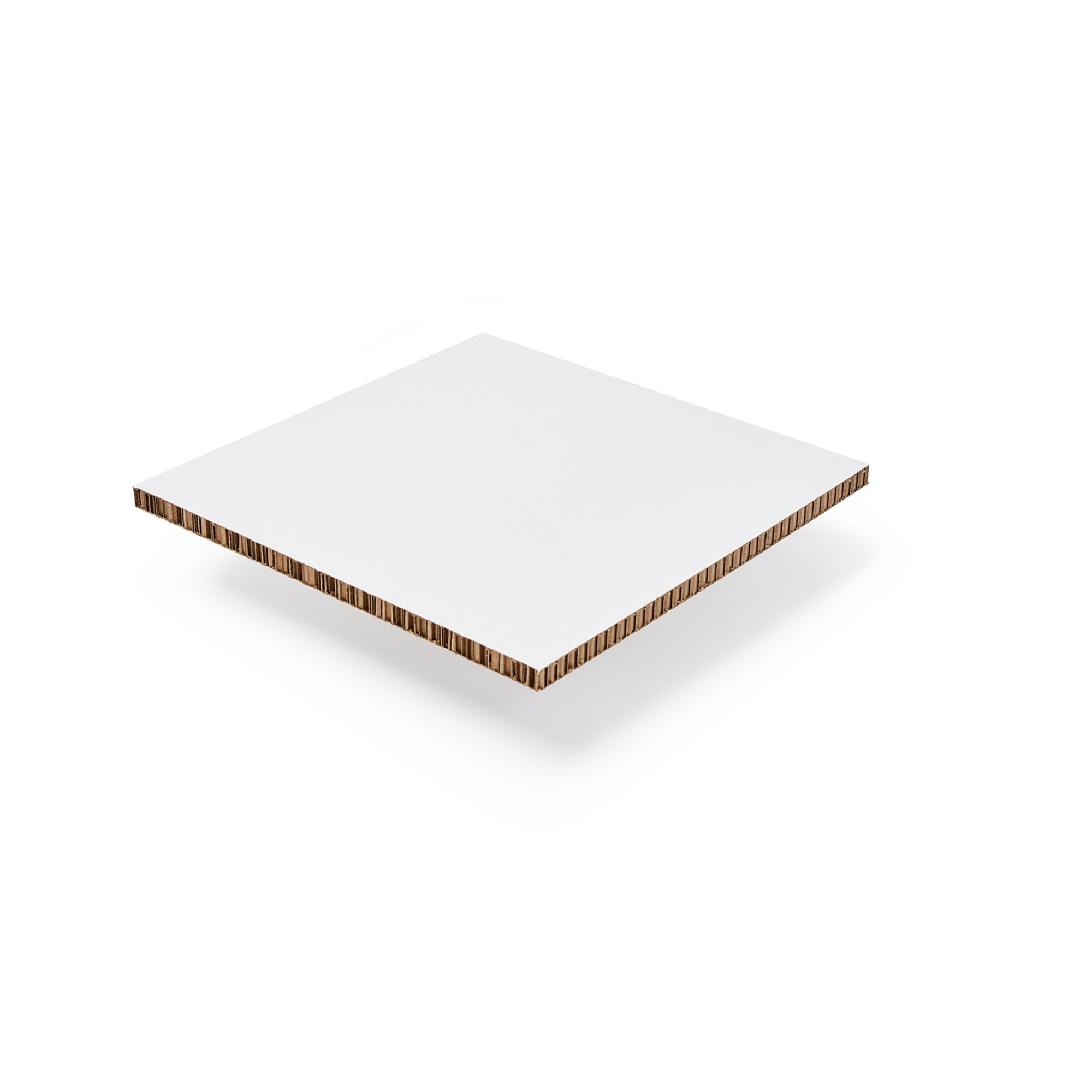 Xanita Board Print