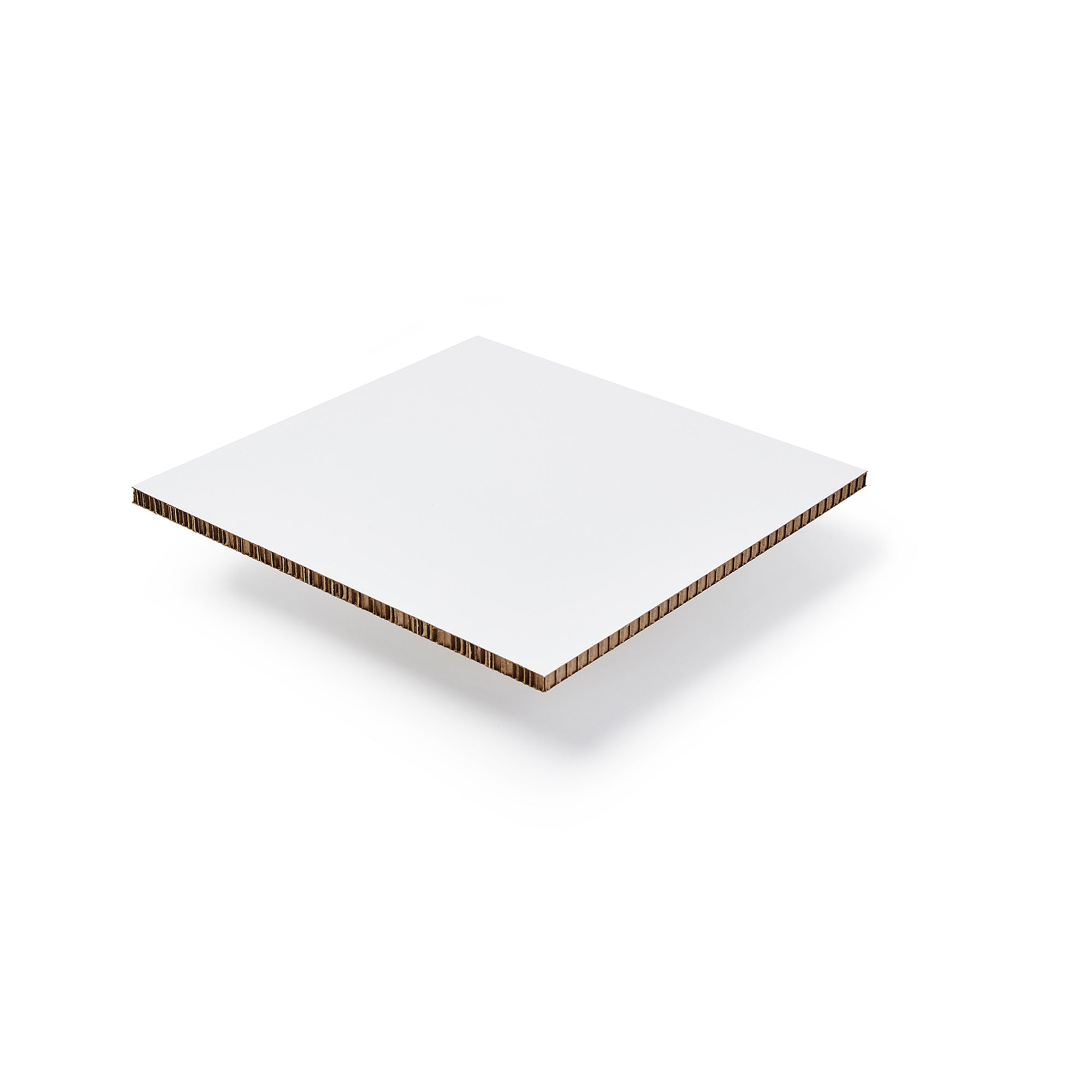 Xanita Board Print