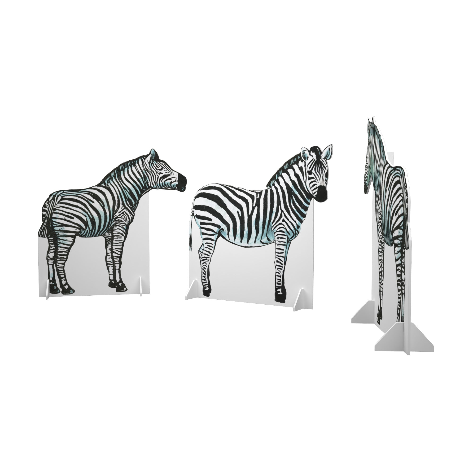 Durbanville Hills Zebra